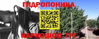 ALPHA-PVP Малгобек