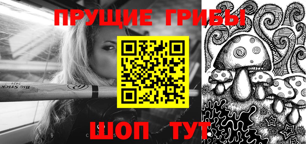 Курганинск  Галлюциногенные грибы Cubensis  Вход с VPN 